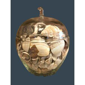 Seashells Hermit Cockill Spiral Porcupine Shells Tube Worm Fossil Coral in clear